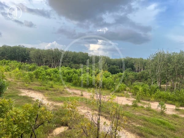 Main image of  The Scape 3 - CSMP2217