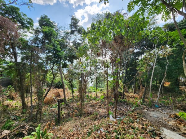 Main image of Exclusive Seaview Land in Kamala  - LSKM1376