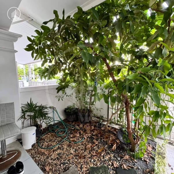 Image of Chanakarn Delight Chalong - HRCL1757