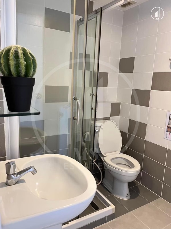 Image of Zcape 3 Near Central Floresta - CRMP1575