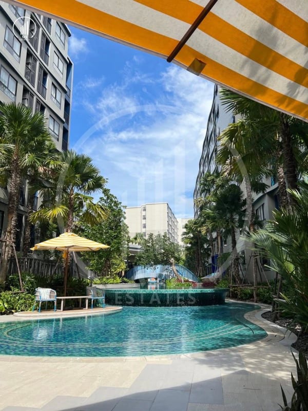 Image of D Condo Reef - CRKT3136