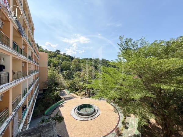 Main image of Phanason The Green Place - CSMP2407