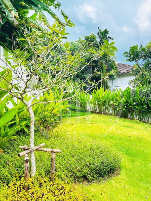 Image of  Loch Palm Villas , Kathu - VSKT2902