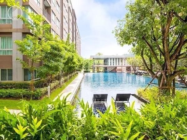 Image of D Condo Campus Kuku Phuket - CRMP2887
