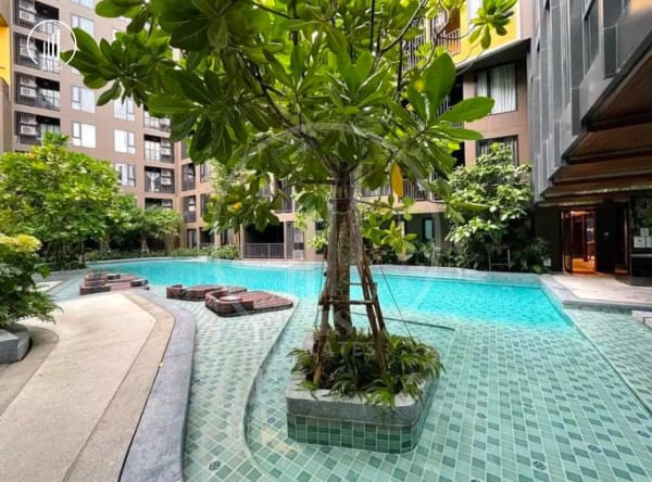 Image of The Base Central Phuket  - CRMP2925