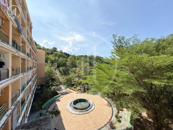 Image of Phanasone The Green Place  - CSMP3222