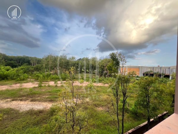 Main image of  The Scape 3 - CSMP2217