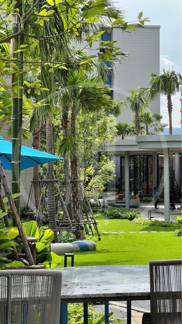 Image of  Dcondo Reef - CRKT2873