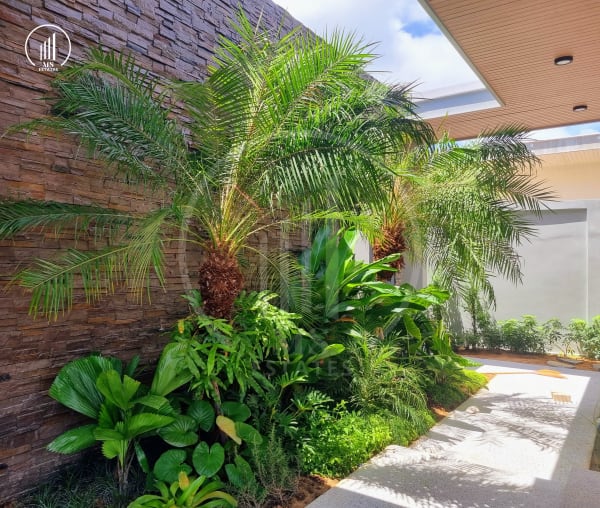 Image of Alisha Forest Thalang - VSTL1603