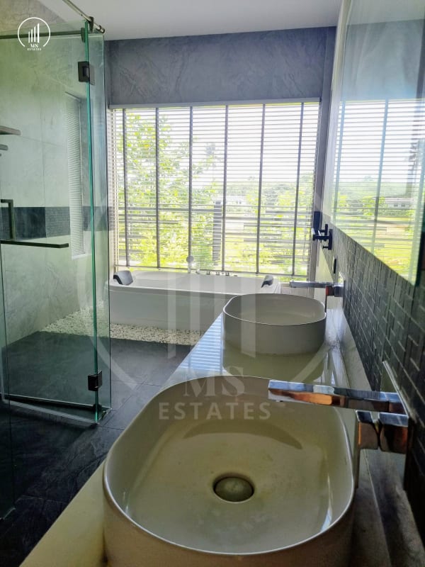 Image of Alisha Forest Thalang - VSTL1603