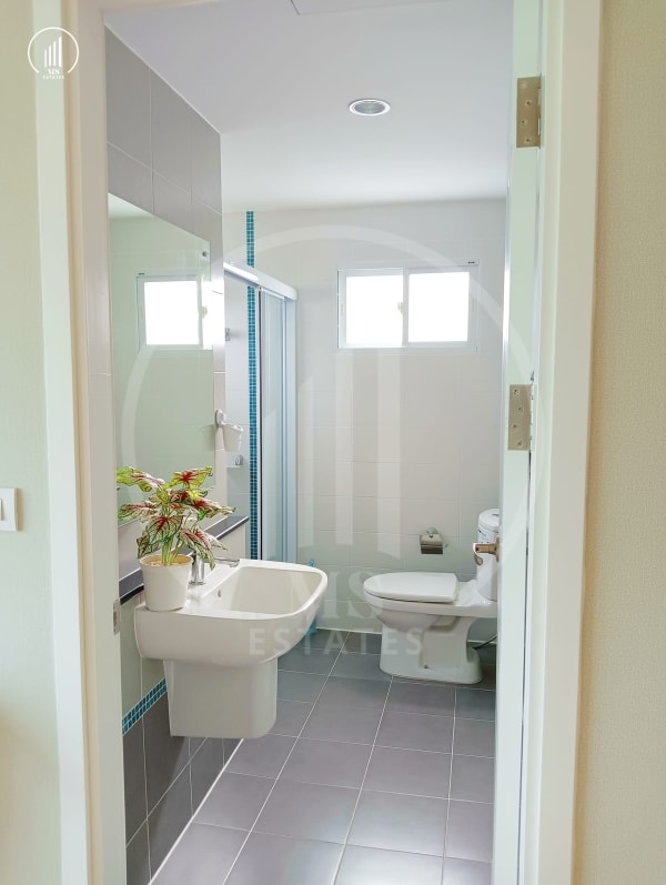 Image of The Plant Thalang - HRTL1611