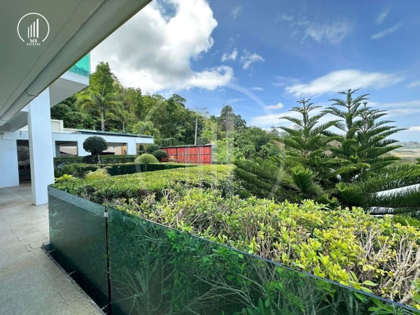 Image of Pool Villa with Large Garden , Pa Khlok  - VSPK3123