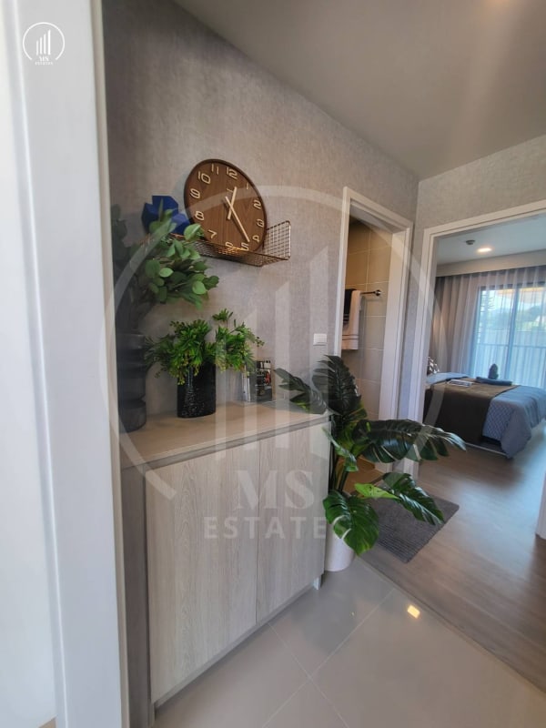 Image of D Condo Reef , Brand New  - CSKT1709