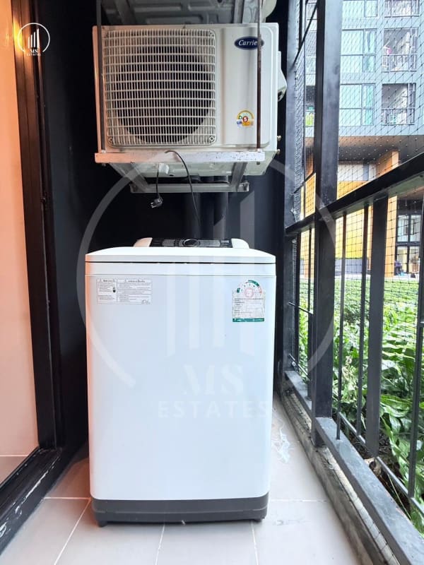 Main image of  The Base Height  - CRMP2273