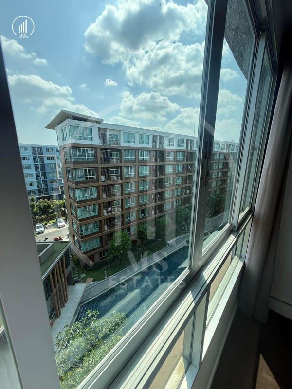 Main image of Dcondo Creek  - CRKT3009