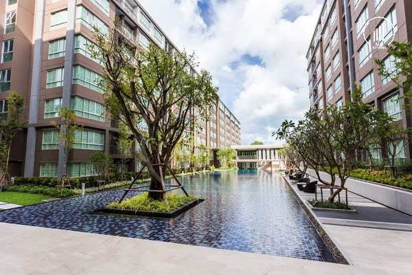 Image of D Condo Campus Resort Kuku - CRMP1514