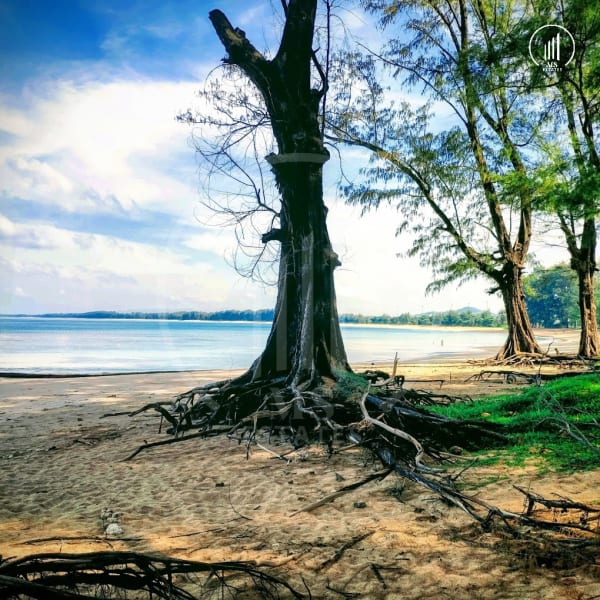 Main image of Bukitta Airport condominium - CRNY1477