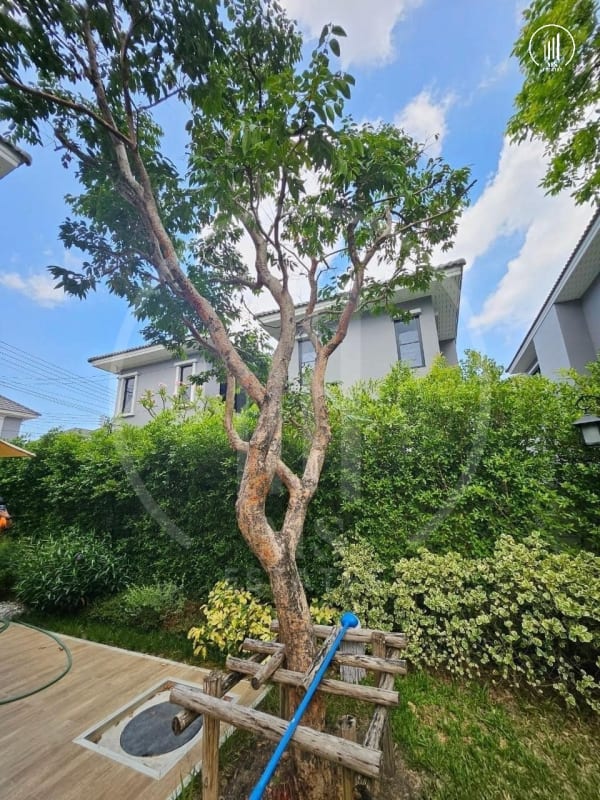 Image of Crown Estate - HSKK1533
