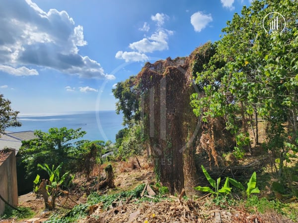 Main image of Exclusive Seaview Land in Kamala  - LSKM1376