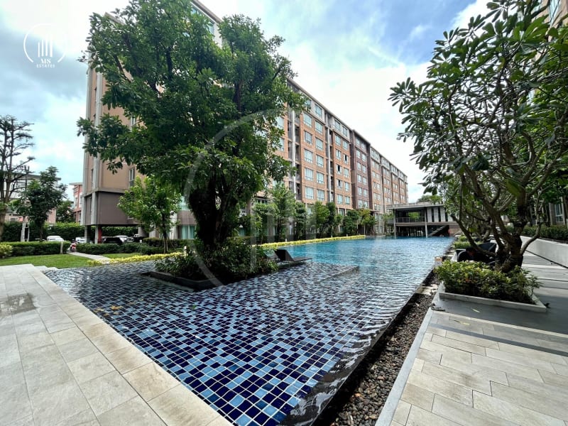 Image of the Listing D Condo Campus Kuku - CSMP1796 in Phuket Town