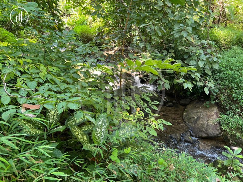 Image of the Listing Land for Sale in Kathu - LSKT1879 in Kathu