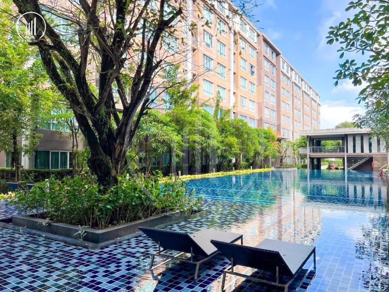 Image of the Listing D Condo Campus Kuku Phuket - CRMP2887 in Phuket Town
