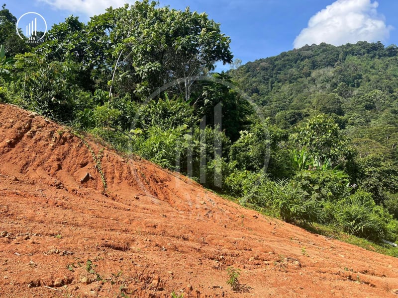 Image of the Listing Land for Sale in Kathu - LSKT1879 in Kathu