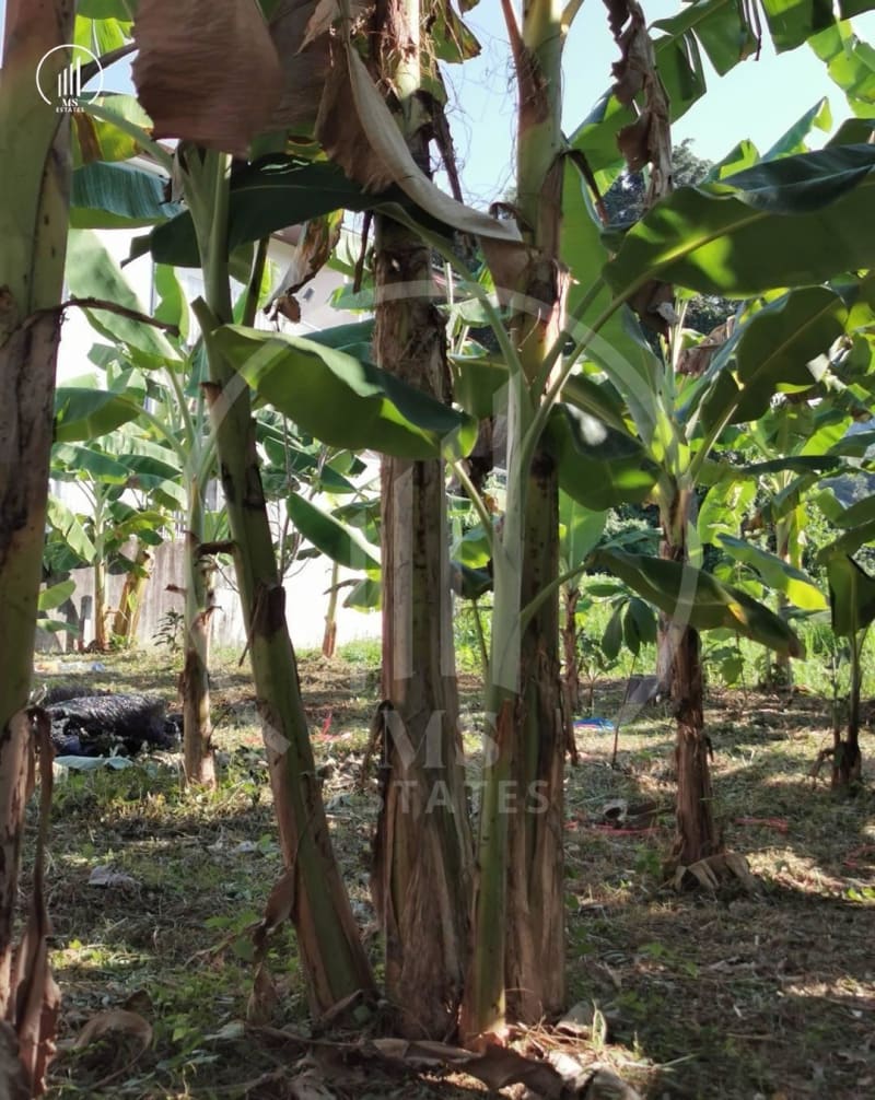 Image of the Listing Land for sale in Phuket - LSMP2148 in Phuket Town