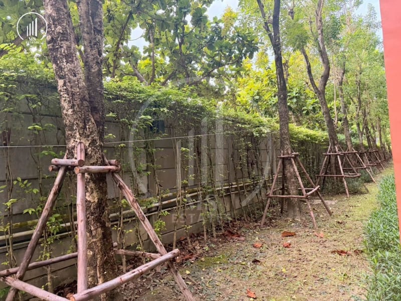 Image of the Listing Dcondo Kathu-Patong - CSKT2999 in Kathu