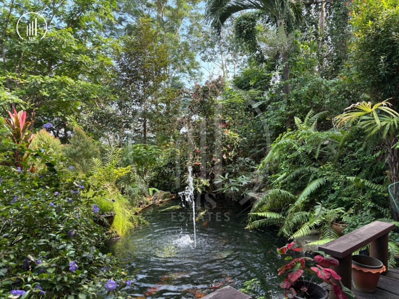 Image of the Listing Garden House on the mountain - HSMP2007 in Phuket Town
