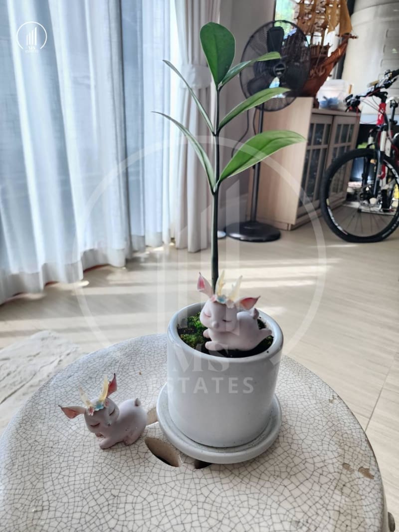 Image of the Listing Ekasirichai Village - HSMP2144 in Phuket Town