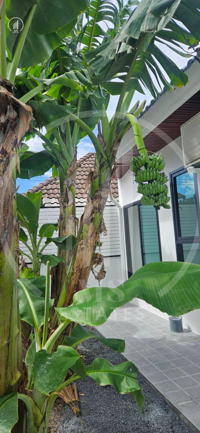 Image of the Listing Rock Garden Village - HSMP2777 in Phuket Town