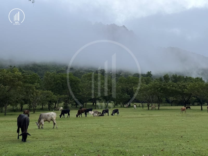 Image of the Listing Indy 2 Koh Kaew For Rent - HRKK1714 in Khoa Keaw