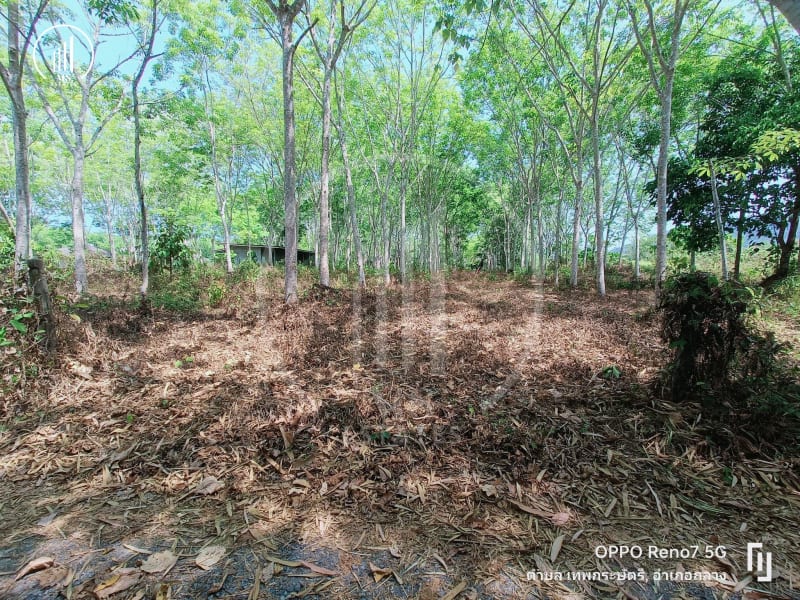 Image of the Listing Land for sale in Baan Khuan - LSTL2212 in Thalang