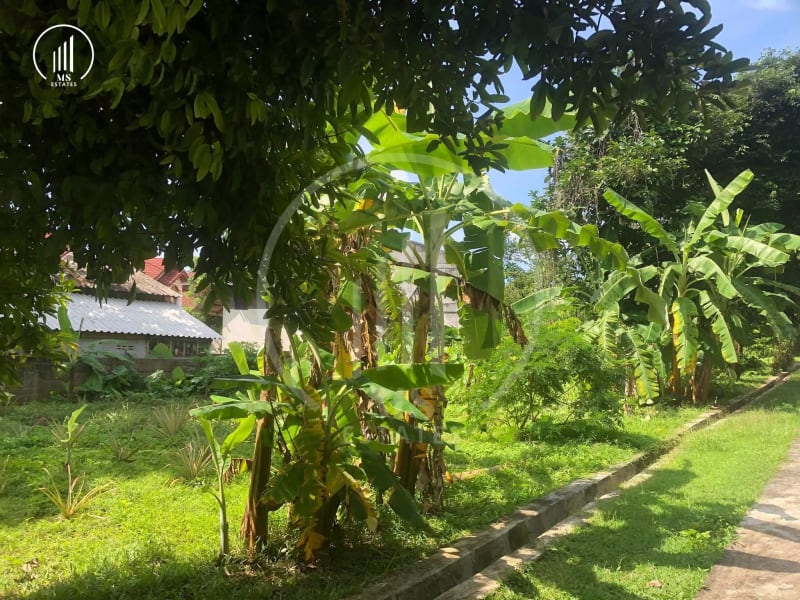 Image of the Listing  Land & House 88 Koh Kaew - LSMP3112 in Phuket Town
