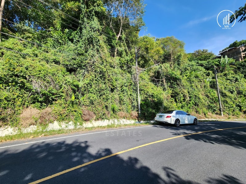 Image of the Listing Exclusive Seaview Land in Kamala  - LSKM1376 in Kamala