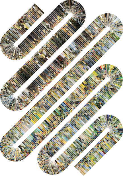 Snake graphic