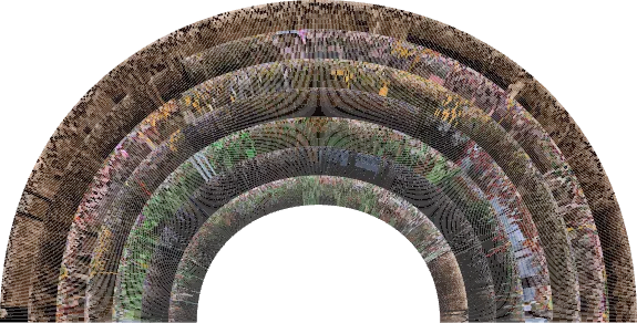 Rainbow graphic