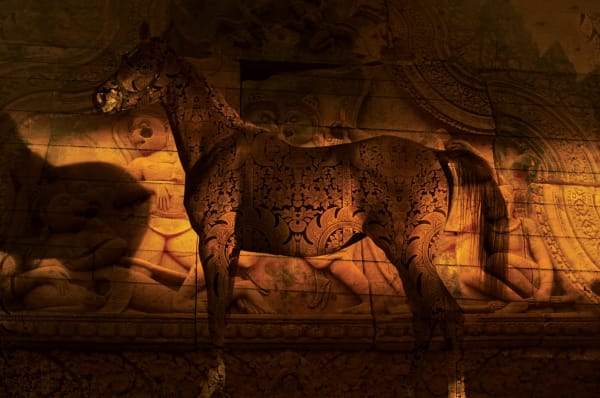 Red Gold Arabian · FASCINASIA · Daniel Stanford