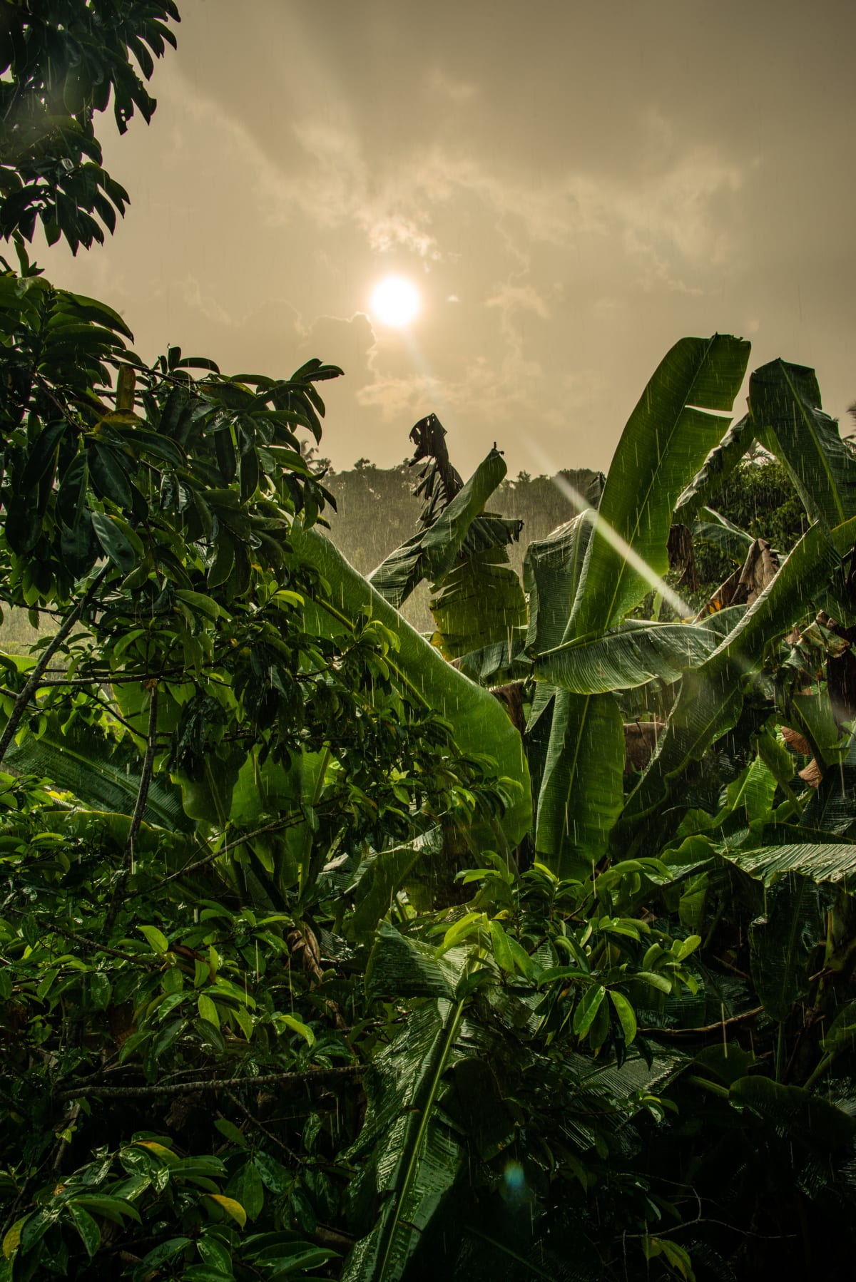 Sri Lanka — FASCINASIA Photography