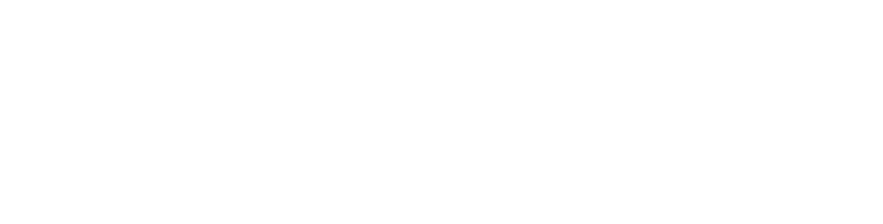 logo mickelsen