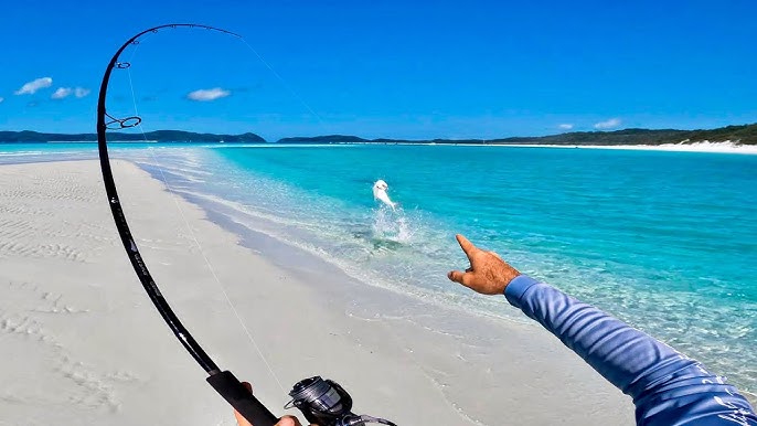 Surf fishing on 75 Mile Beach, K'gari (Fraser Island)