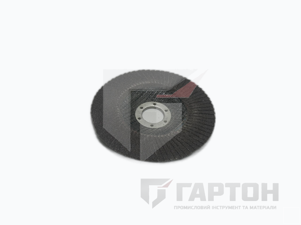 Фото Круг пелюстковий шліфувальний 125 мм Р-120 Т29 Profi POLYSTAR №2