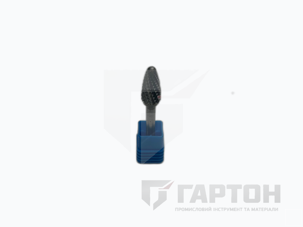 Фото Борфреза овальна F 10х20х6х65 №1