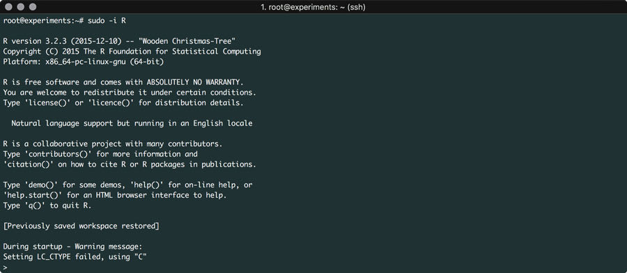R kurulumu ubuntu