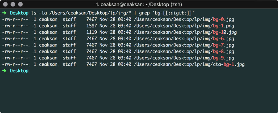 Posix standard wildcards