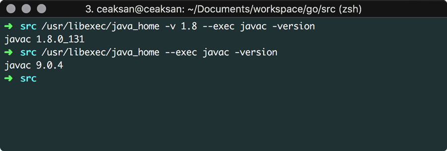Java version macos