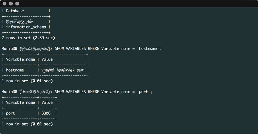 Mysql host port