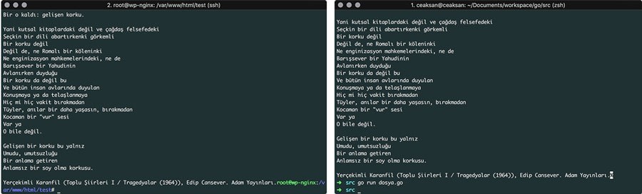 Go İle SCP (Secure Copy Protocol) Dosya İşlemleri