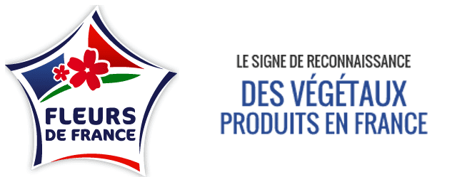 logo-fleur-de-france-mobile